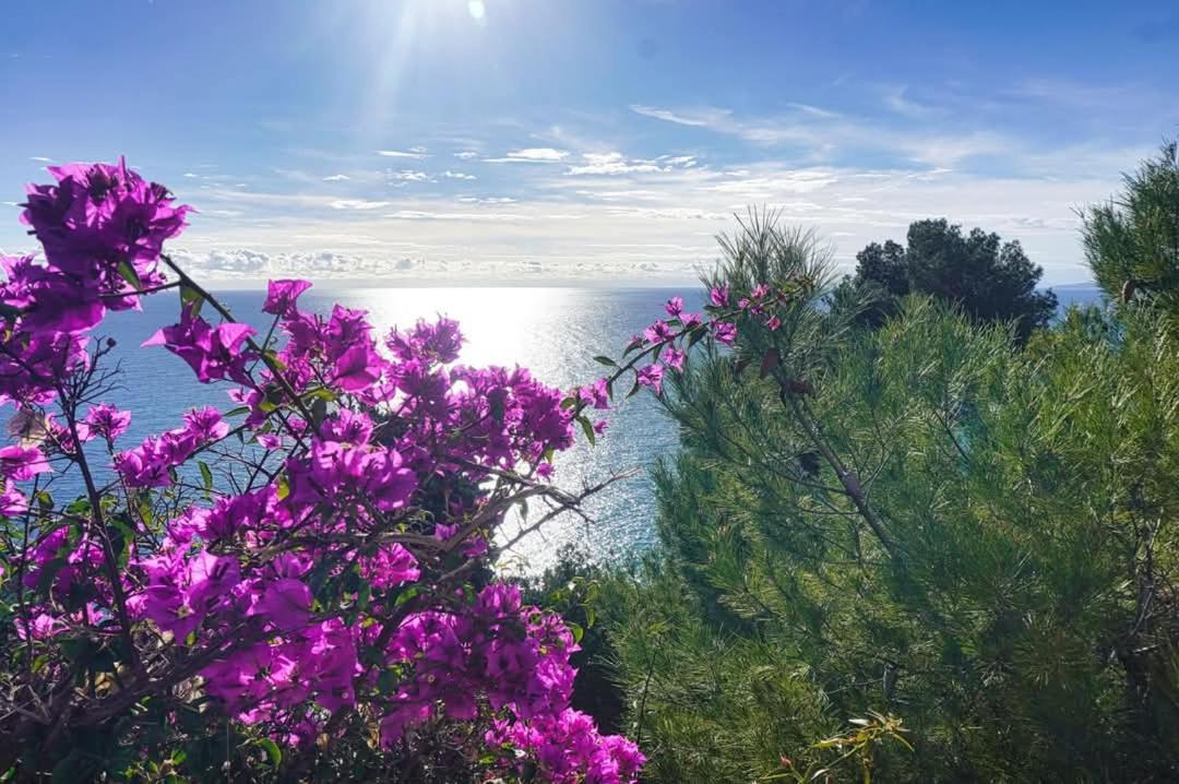 Dolci Risvegli Appartamento Vista Mare Ventimiglia Exterior foto