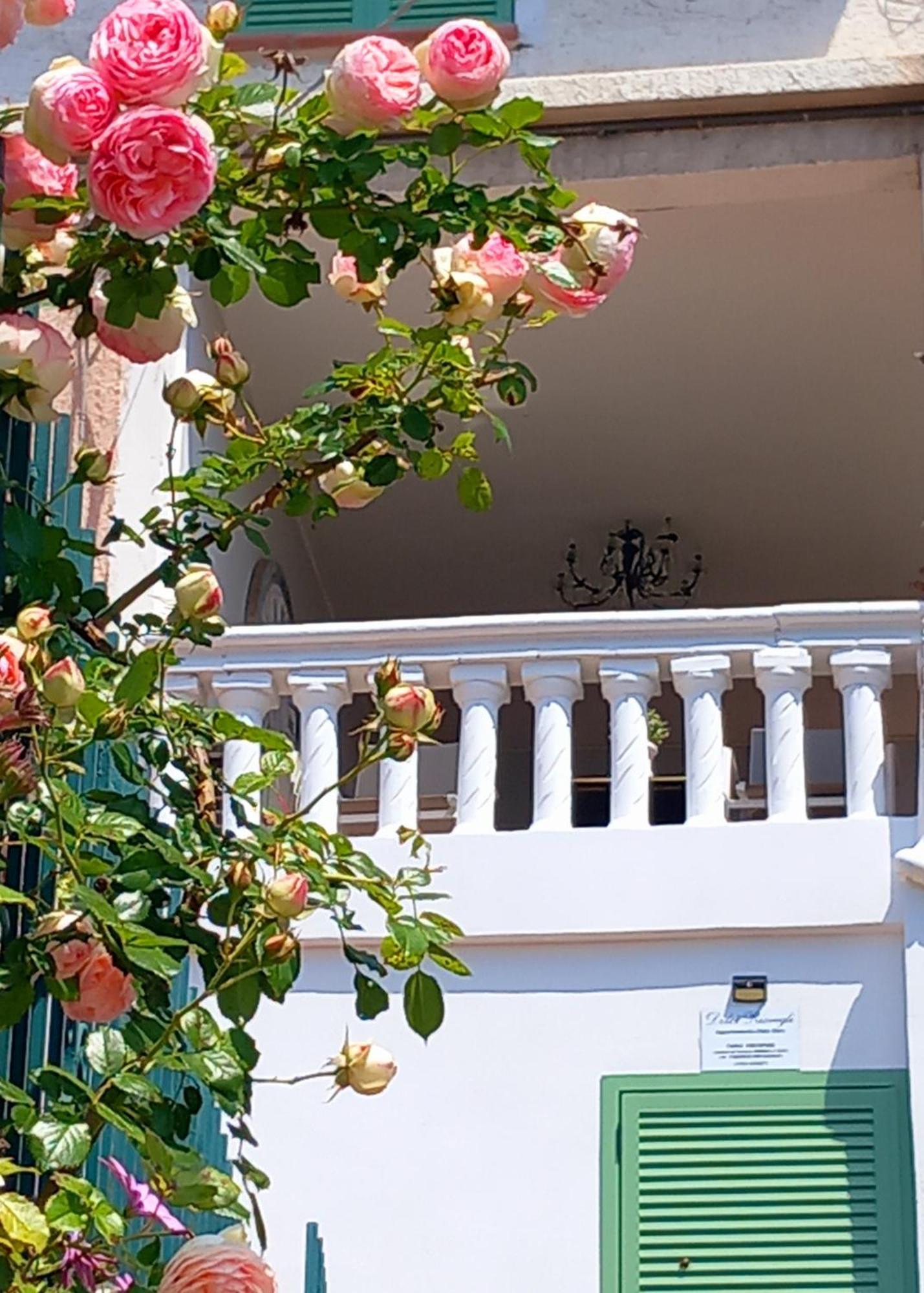 Dolci Risvegli Appartamento Vista Mare Ventimiglia Cameră foto
